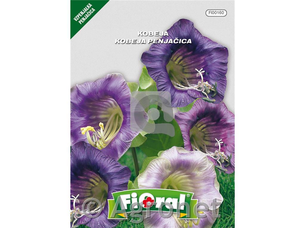 Kobeja (Cobaea scandens), 0,3 g