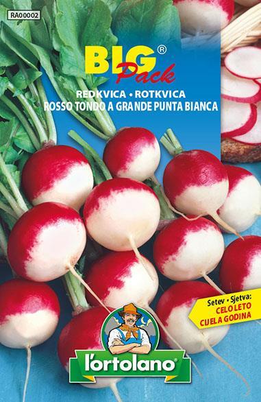 Redkvica Rosso tondo 20g