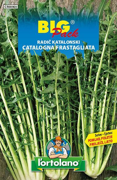 Radič Katalonski, 20g