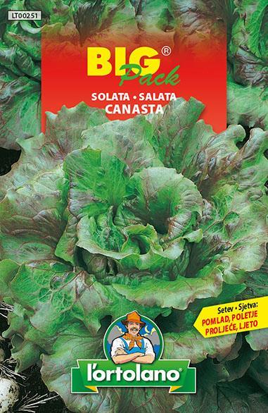 Solata Canasta 15g