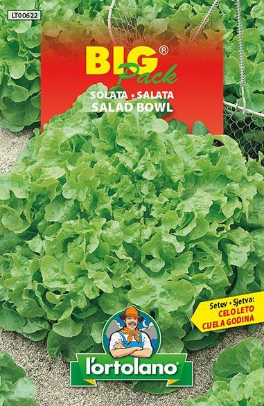 Solata Salad bowl 15g