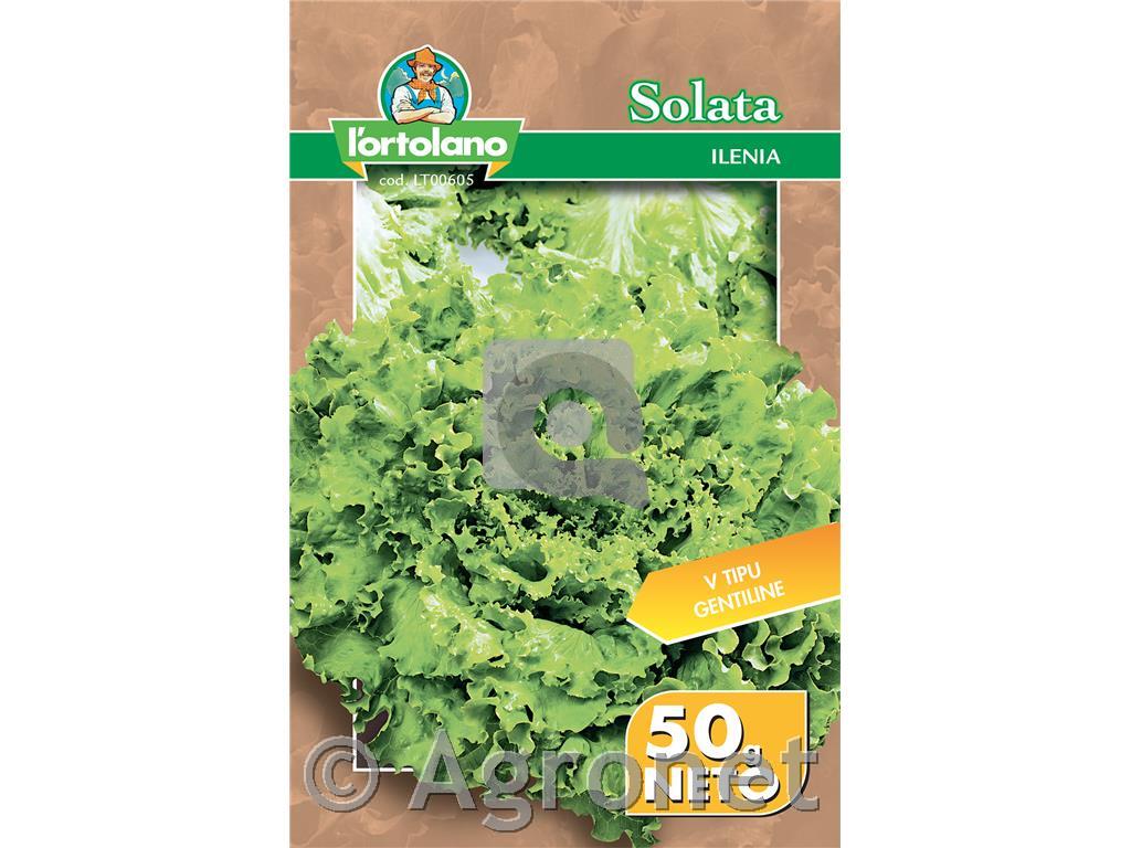 Solata Ilenia 50g