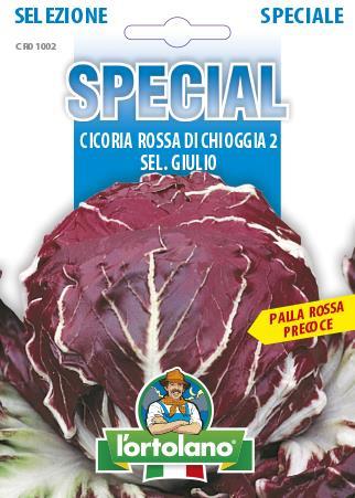 Radič Rossa di Chioggia 2 sel. Giulio 4g