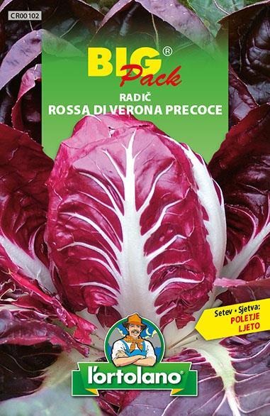 Radič Rossa di Verona 20g