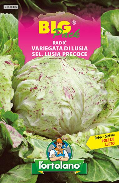 Radič Variegata Di Lusia 20g