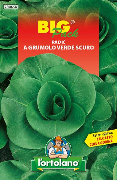 Radič A Grumolo Verde 20g