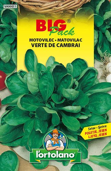 Motovilec Verte de Cambrai 15g