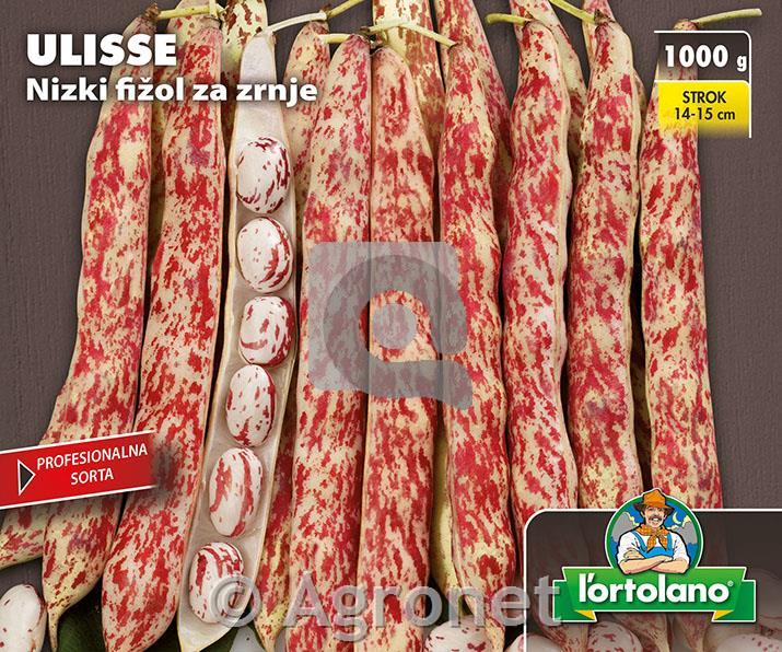 Fižol nizki Ulisse 1kg