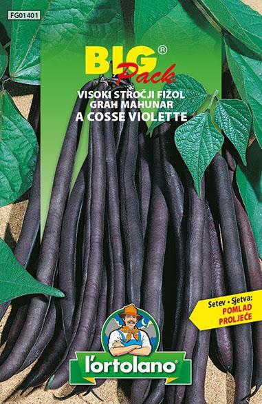 Visok stročji fižol Violette 70g