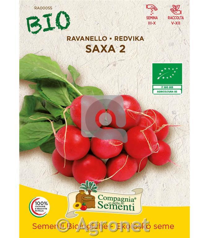 Redkvica Saxa 2 EKO 10 g