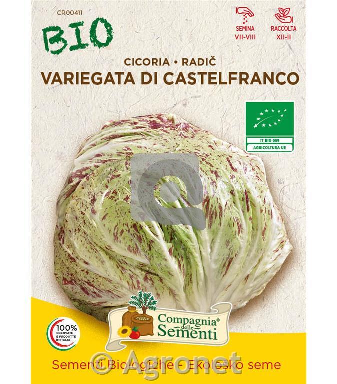 Radič Variegata di Castelfranco EKO 9g