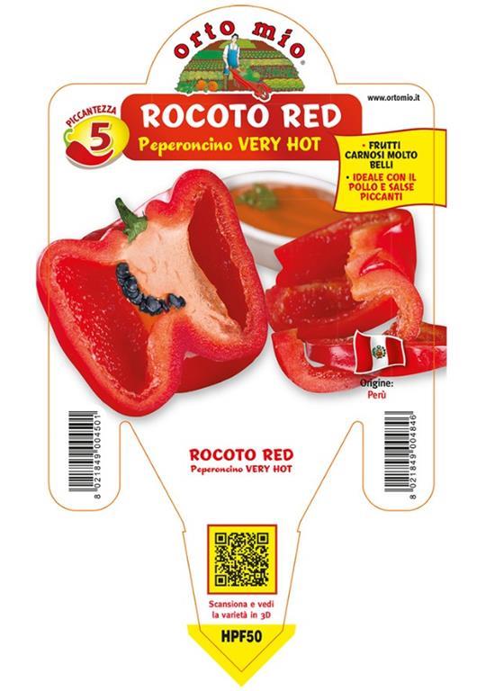 Čili Rocoto Red, 1 kos