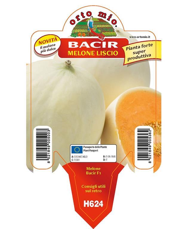 Melona Bacir F1, 1 kos