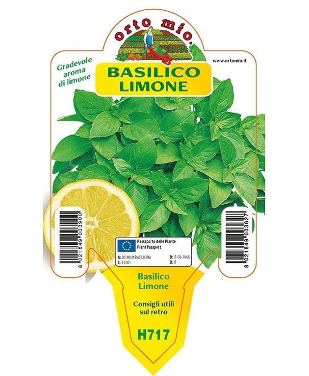 Bazilika Limone