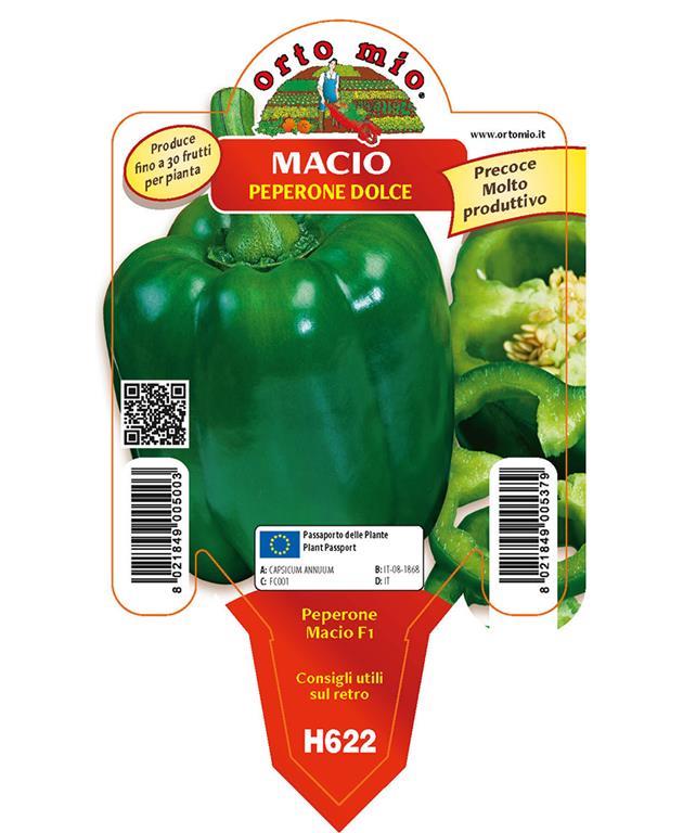 Paprika zelena Macio F1, 1 kos