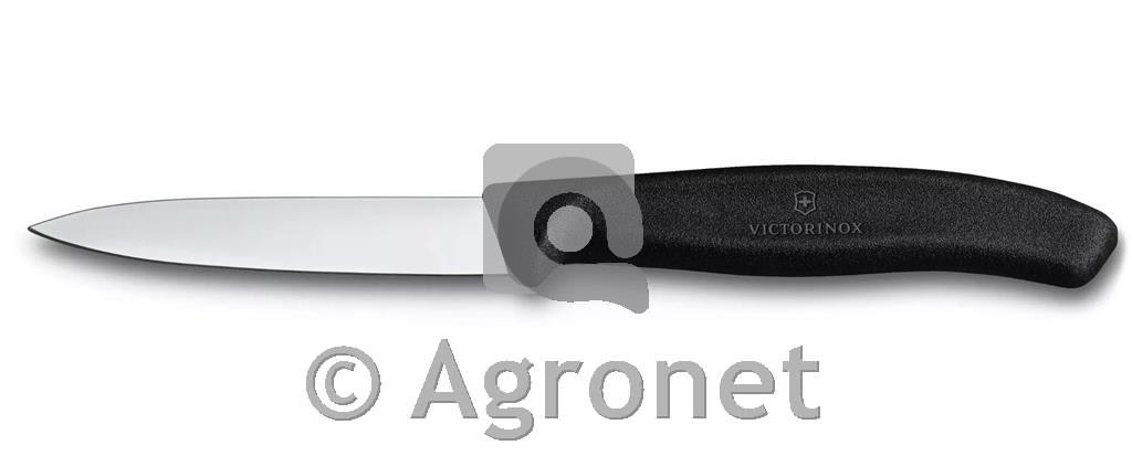 Nož 8 cm 6.7603 VICTORINOX