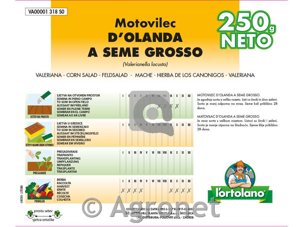 Motovilec holandski grosso, 250gr