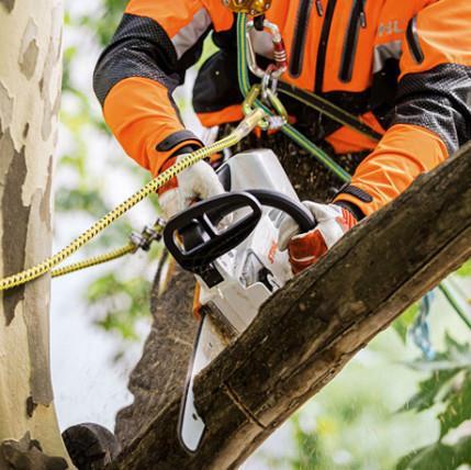 Akumulatorska žaga MSA 161 T, meč 30 cm STIHL