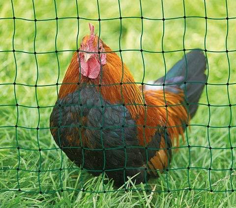 Mreža PoultryNet (dvojna konica) ne elekt. 106cm, 25m